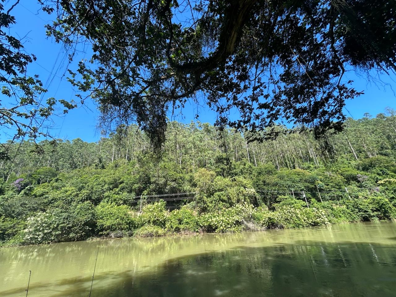 Chácara dentro da cidade de Santa Branca imagem 38