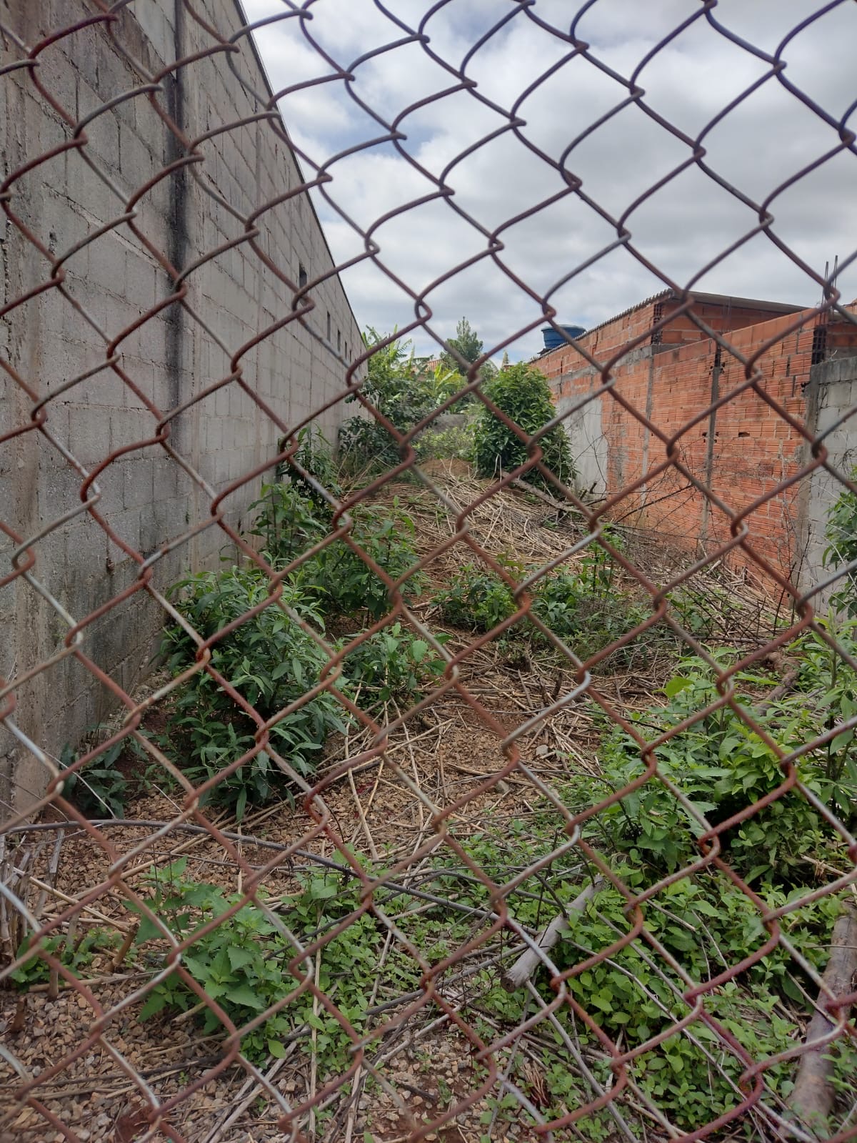 Terreno em São José dos Campos imagem 2