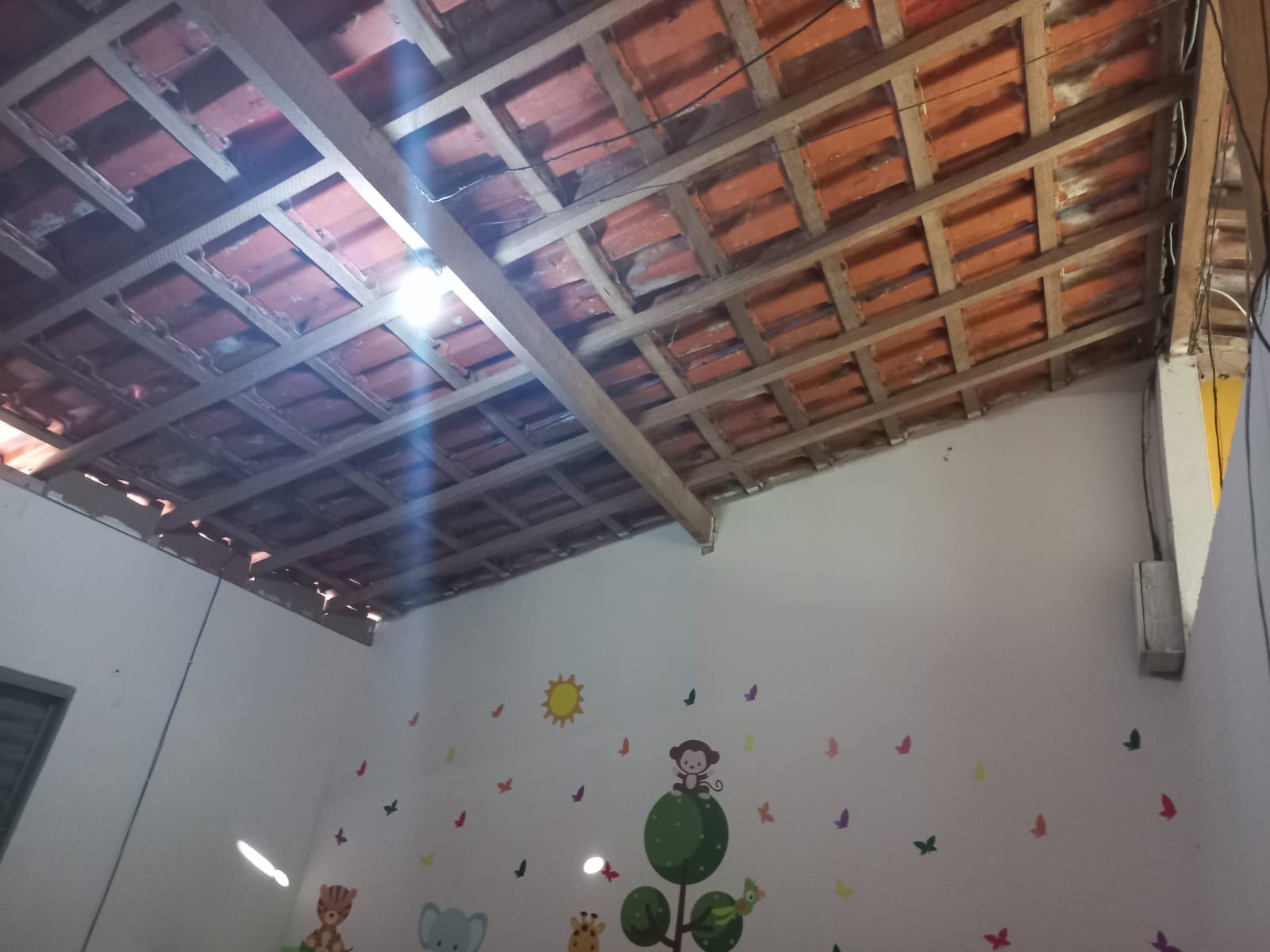 Chácara em Paraibuna imagem 8