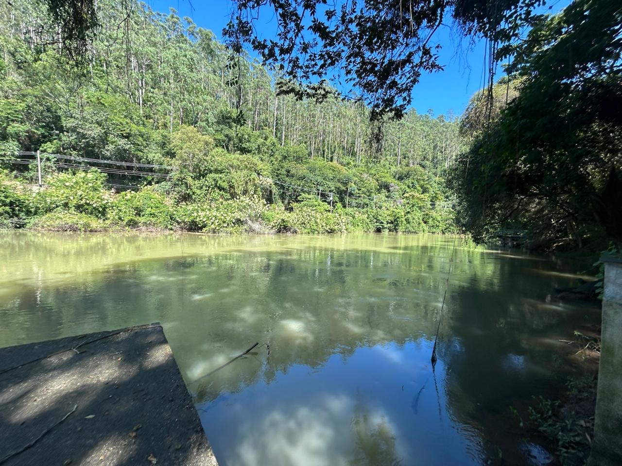 Chácara dentro da cidade de Santa Branca imagem 20