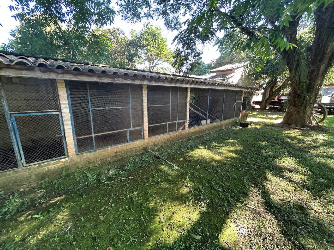 Chácara dentro da cidade de Santa Branca imagem 34