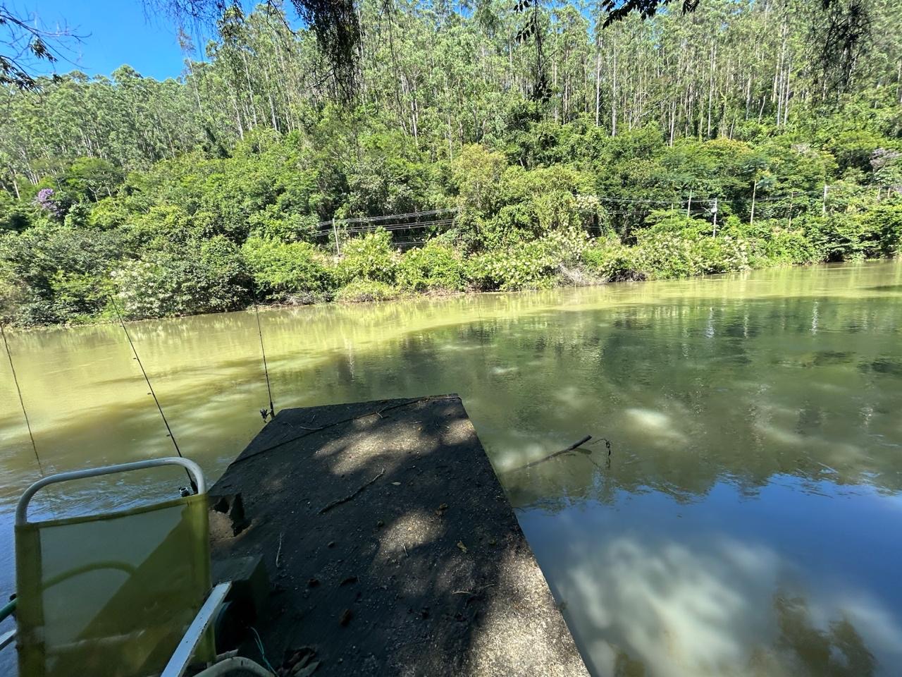 Chácara dentro da cidade de Santa Branca imagem 37