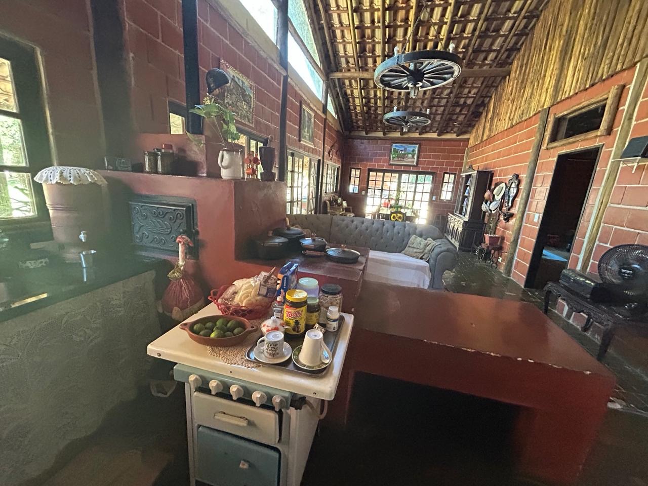 Chácara dentro da cidade de Santa Branca imagem 46